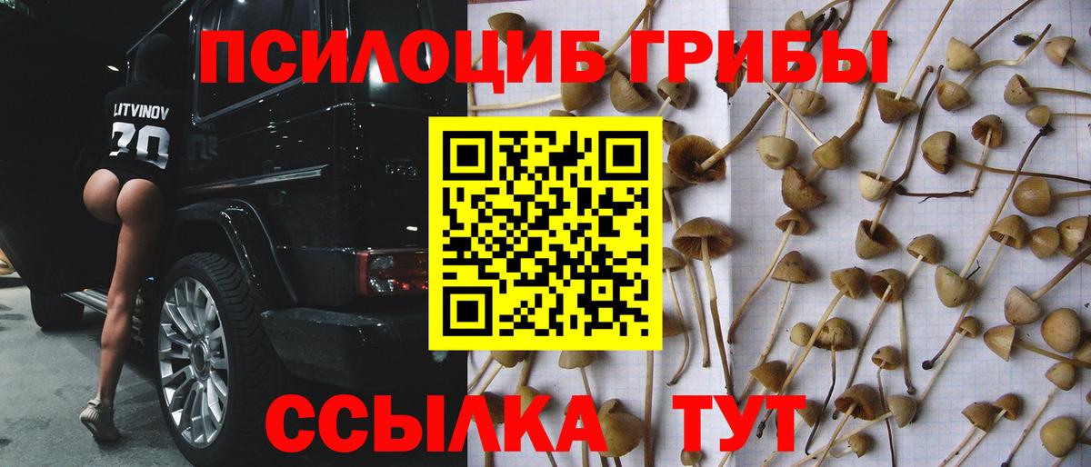 Псилоцибиновые грибы прущие грибы Семилуки